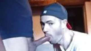 Cock-sucking Profession, Who Likes His Job