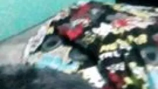 Jalando El Cuello Al Ganso