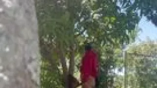 Cambodian Fucking in the Jungle