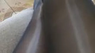 Shine pantyhose masturbation