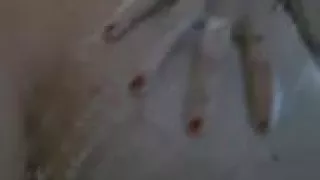 Stripchat: Bantjuli666 follow-me