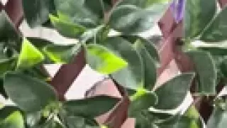 It's the Most Wonderful Time of the Year