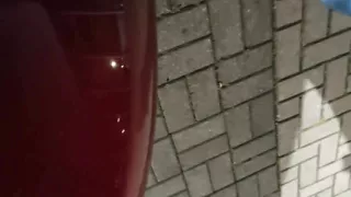 Cum on Red Porsche 911 Emblem