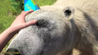 Summer Heat - Part 46 Redhead Dream E-Girl By LoveSkySan69