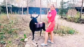 Playing a Latex Game with My Stepson