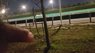 Show my cock to the driver himself