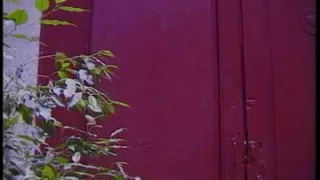 Latin Lovers Prime Rizas Cachondas