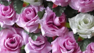 Sumana And Me - Bengali Audio Story