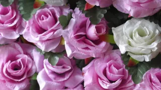 Me And My Friend - Bengali Audio Story