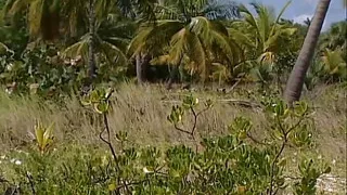 Per caso una mattina Sc 5 lewd orgy