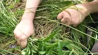 Old daddy loves bbw matures.