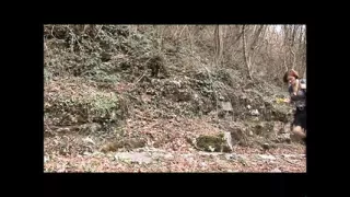 Ordinary Cougars (Full Movie)