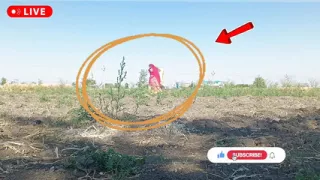 Priya Bhabhi firting, romance and sex with young devar and creampie by -Snapchat143