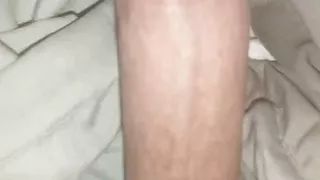 I want to have sex with women, boys, and shemales.