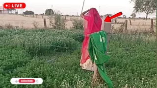 saree bhabhi gets naughty with her devar for rough and hard anal sex after ice massage on her back in Hindi By -Snapchat143