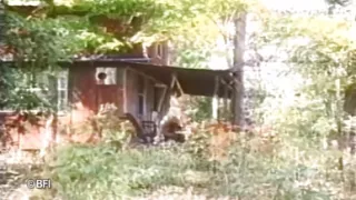 Vintage jungle domination