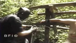 Testing my slave outdoors