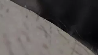 Stepmom in sexy white bodysuit and big ass get stepson dick in erection