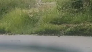 Outdoors in public by the road near Cuxton