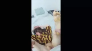 Friend fucks wife. Real cheating