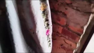 I Found My StepCousin Alone and Had Sex with Her