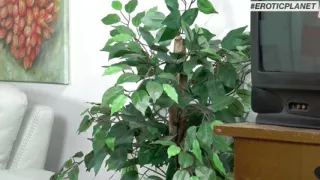 German jerk - Hardcore