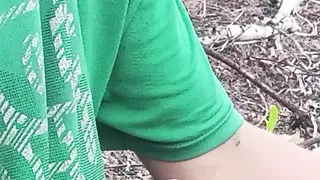 Cock in the palm grove