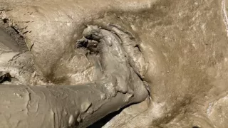 Sinking Deeper, No Turning Back