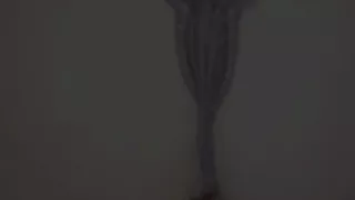 Wife Playing & Riding with Big 12inch Black Dildo