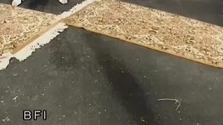 Old Ladies Like to Piss 1