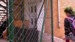 German Carnival Sex Party