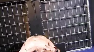 Femdom ladies in a kinky session to their male slaves 2 scenes in 1