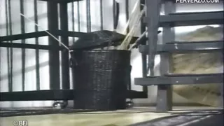 Horny misstres tormenting MILF whore