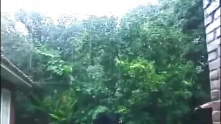 DVD Bisexual bangs in the forest