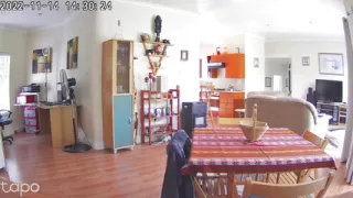 Walking Around Naked at Home