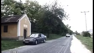 Young bitches 30 DVD