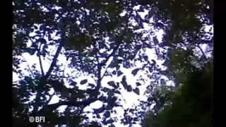 Submissive of a slave