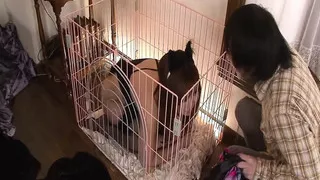 Sex Vacation In Tokyo With A Kinky Teen Uncensored # 2 -