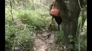 As long as it's hard