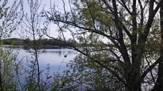 Jerking Off with My Thick Cock on the Lakeside Trail Behind Highway A61 - Speyer, Germany - Swollen Balls and Natural Scenery