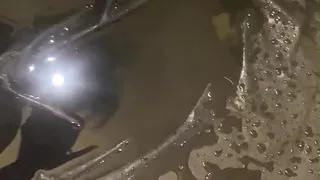 Milfycalla Compilation of Play with Pee Fetish Ep 1and This Is a Fetish That I Like. I Want to See You with Your Dick in Your Ha