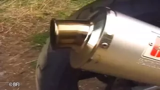 Submissive sluts for whipping