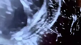 Cock Worshipping Slut