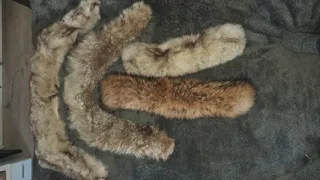 La Baronne De Chaudebraise