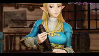 Zelda Discount For Princesses