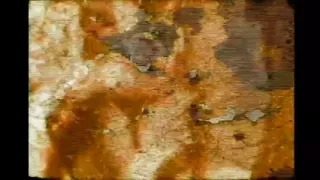 HIPPIES IN HEAT - Full Vintage Movie