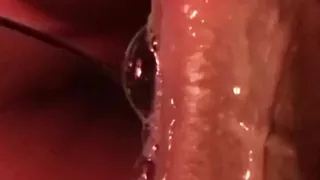 Cock slobbered on in close-up by a straight guy