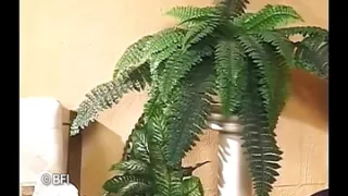 Oldtimers are the best