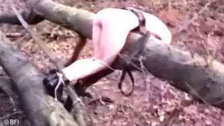 Black master dominates his pet sub DVD