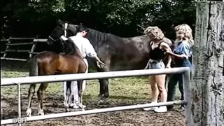 Domina weird domination